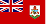 Bermuda flag
